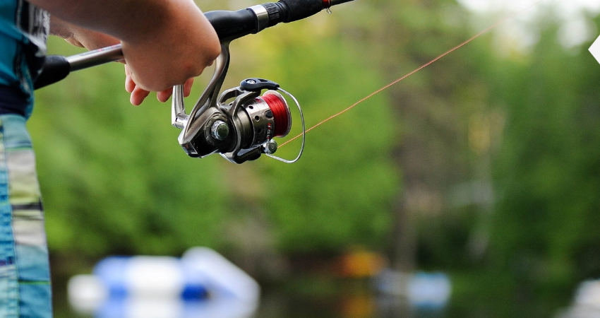 Rye Colorado - Local Fly Fishing Tours