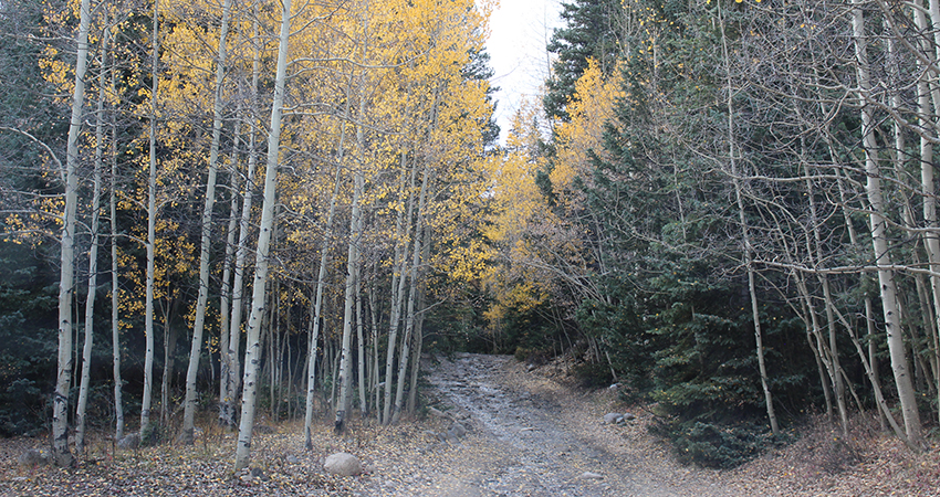 Rye Colorado -Local Trails for OHV, Hiking, Mountain Biking and Horseback Riding