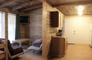 Pine Cabin - The Pine Lodge - San Isabel Lake - Rye Colorado