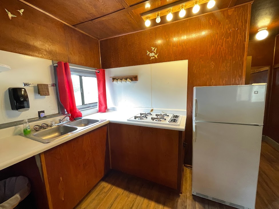 Lodge C3 kitchen counters + fridge