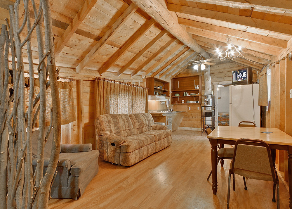 san-isabel-lodging-cabin-7-living-area-4